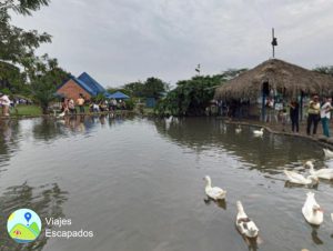 Hacienda La Gloria Estanque con Patos