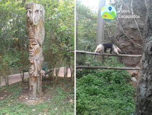 Bioparque Ukumari