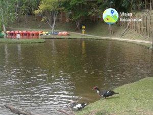 Lago Consotá