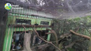 Monos