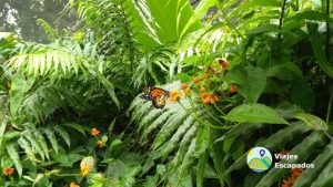 Mariposario